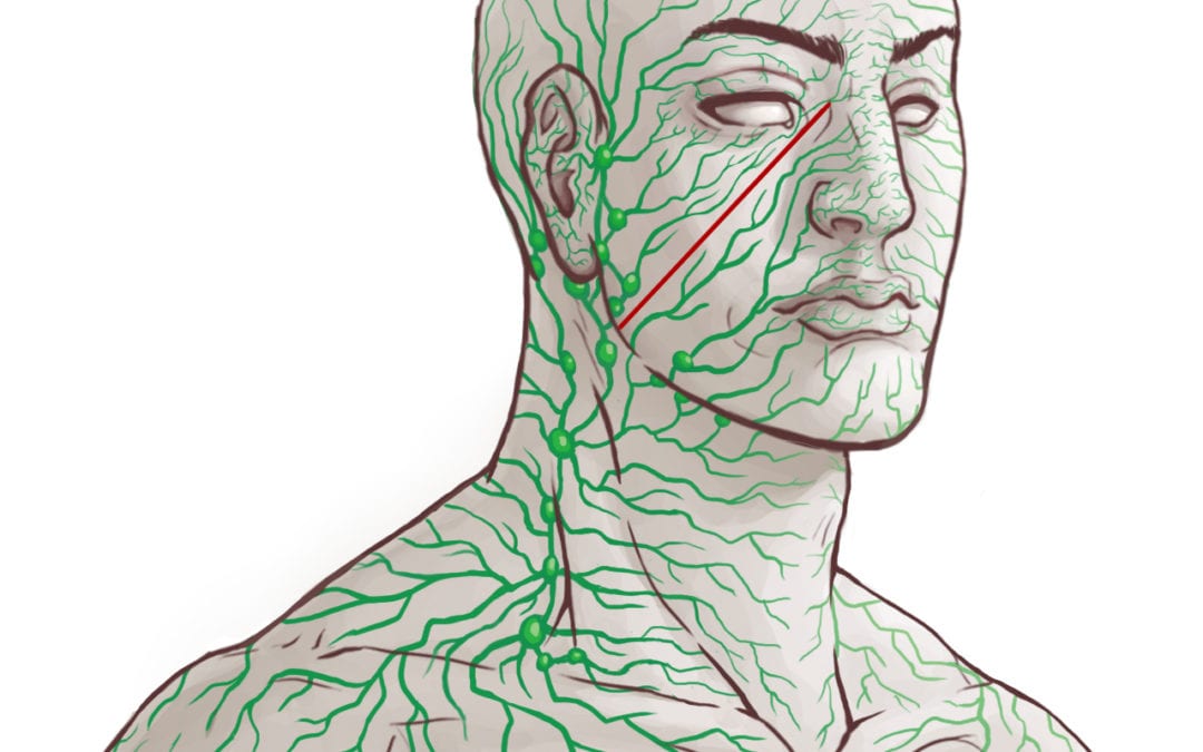 Activate Lymphatic System to Reduce Inflammation